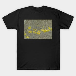 Witch Hazel Against the Garden Wall T-Shirt